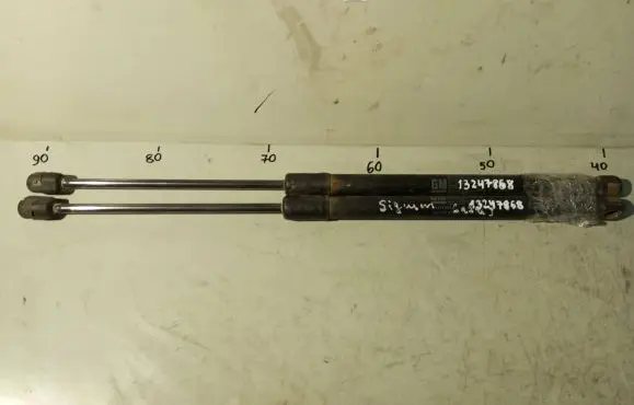 Opel Signum Tailgate/trunk strut/damper 13247868