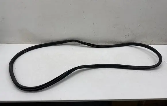 BMW iX3 G08 Rear door rubber seal (on body) 7393449