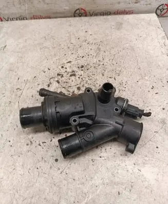 Thermostat/thermostat housing