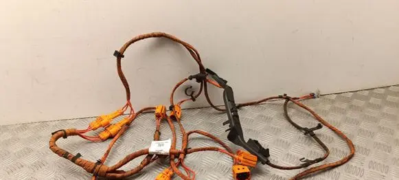 Skoda Enyaq iV Other wiring loom 1EA971398AN