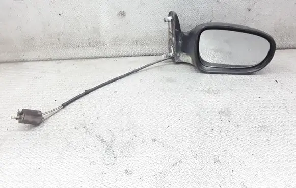 Ford Galaxy Manual wing mirror E1010414