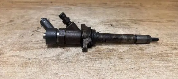Volvo V50 Fuel injector 0445110239