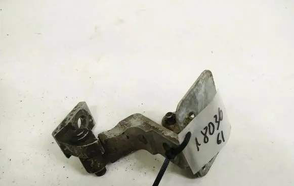 Seat Toledo II (1M) Front door upper hinge