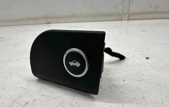 Tailgate opening switch