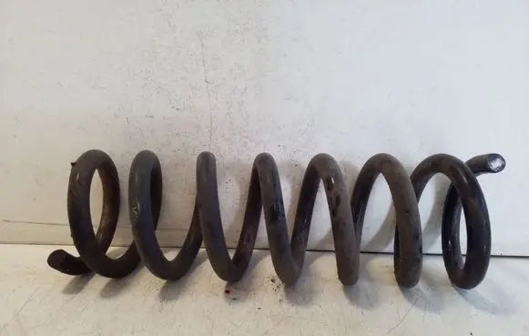 Front coil spring