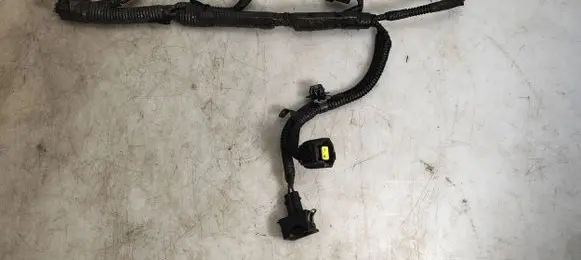 Lexus IS 220D-250-350 Fuel injector wires 