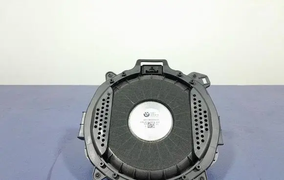 BMW X5 E53 Subwoofer speaker 2622515