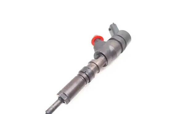 Peugeot Expert Fuel injector 9641742880
