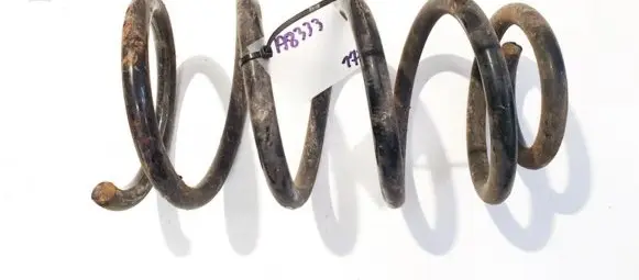 Hyundai Santa Fe Rear coil spring