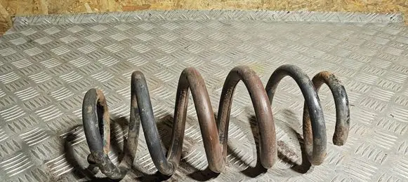 Toyota RAV 4 (XA30) Rear coil spring
