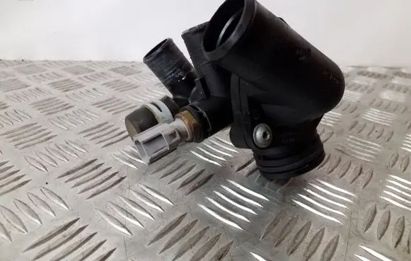 Thermostat/thermostat housing