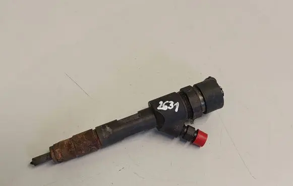 Suzuki Grand Vitara II Fuel injector 0445110230 8200389369