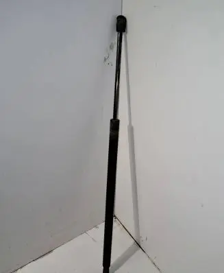 Chrysler Pacifica Tailgate/trunk strut/damper 44831A