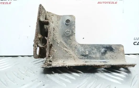 Ford Transit Rear door lower hinge