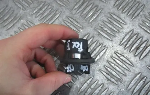 Ford Focus Tail light bulb cover holder