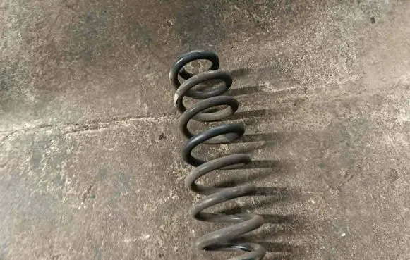 Opel Insignia B Rear coil spring 