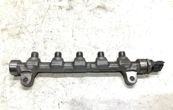 Hyundai i30 Fuel distributor 0445214181 314002A420