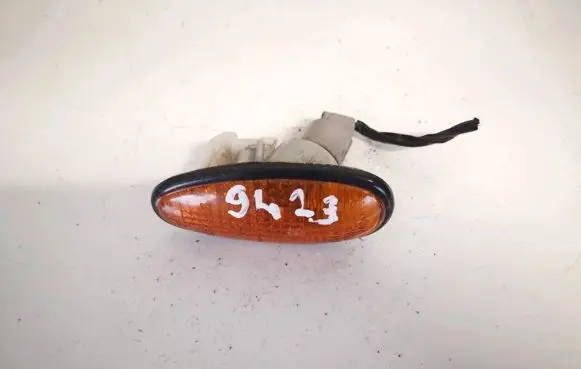 Front fender indicator light