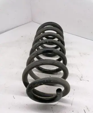 Rear coil spring