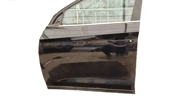 Hyundai Tucson TL Front door