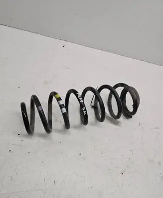 Rear coil spring