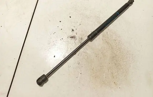 Tailgate/trunk strut/damper