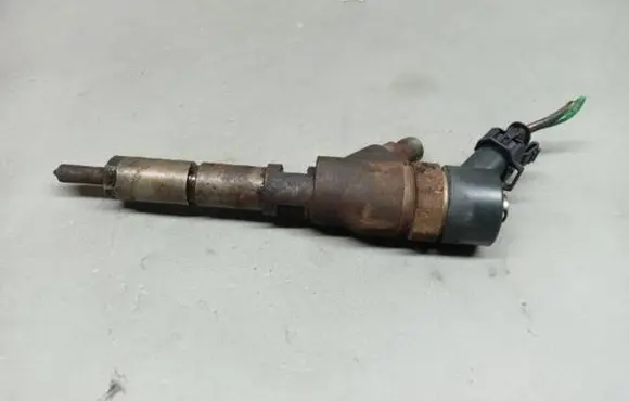 Fiat Ducato Fuel injector 9641742880