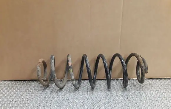 Rear coil spring
