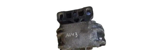 Seat Leon (1M) Engine mount bracket NOCODE