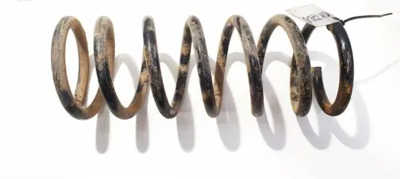 Rear coil spring