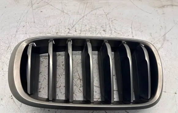 BMW X6 F16 Front bumper upper radiator grill 7349388