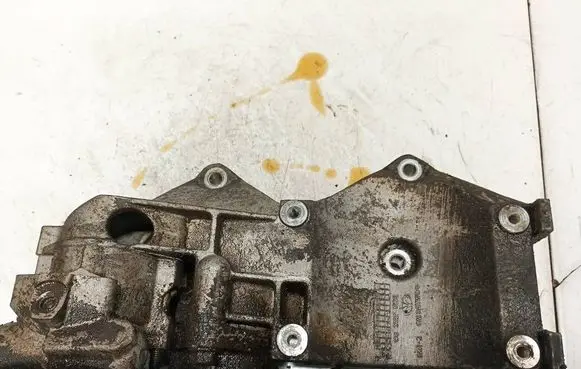 Chevrolet Aveo Engine mounting bracket 96352822