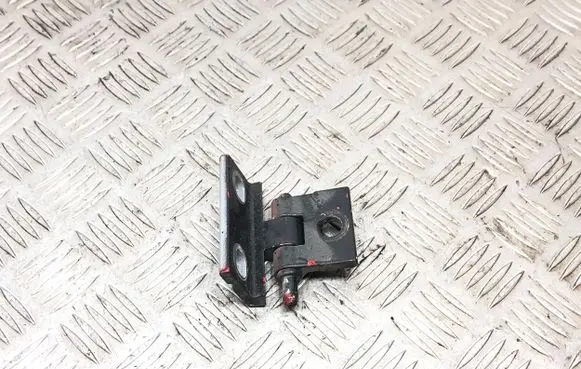 Volvo S60 Rear door lower hinge