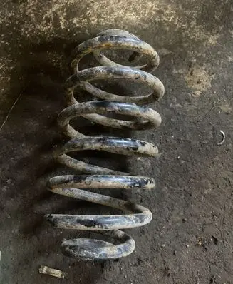 Opel Zafira A Rear coil spring