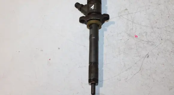 Citroen Jumpy Fuel injector 0445110239 606680