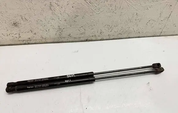 Tailgate/trunk strut/damper