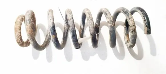 Peugeot 406 Rear coil spring