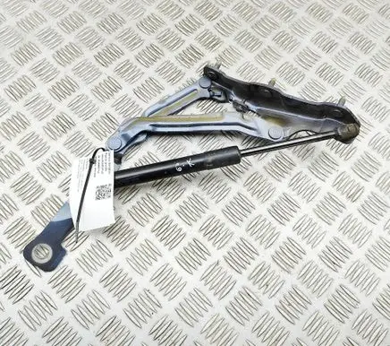 Tesla Model 3 Tailgate/trunk strut/damper 109282000E