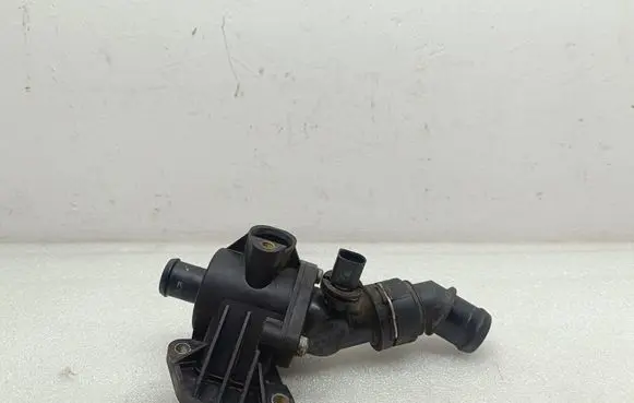 Thermostat/thermostat housing