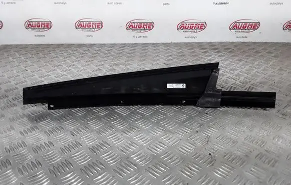 Other front door trim element