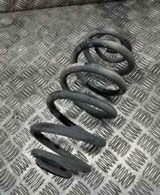 Rear coil spring