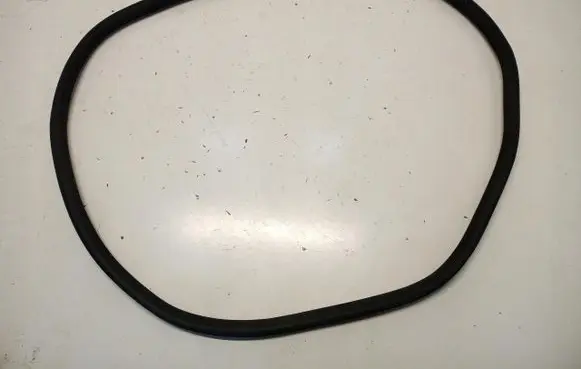 Peugeot 508 II Rear door rubber seal (on body) 9813388380