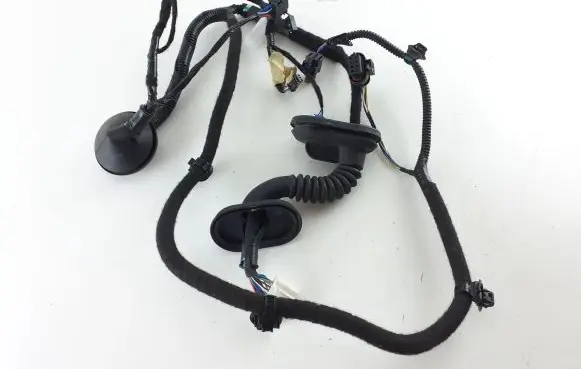 Tesla Model 3 Rear door wiring loom 206796690A