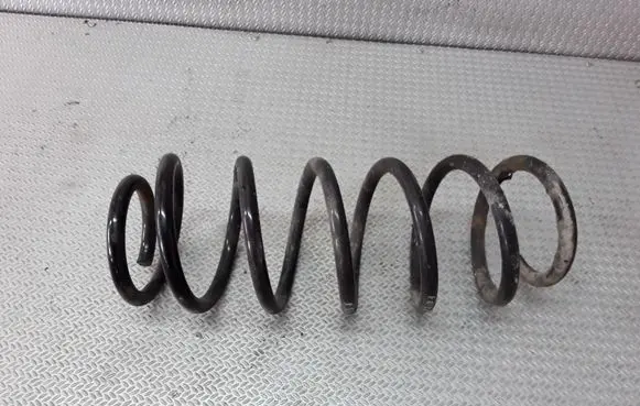 Opel Antara Front coil spring