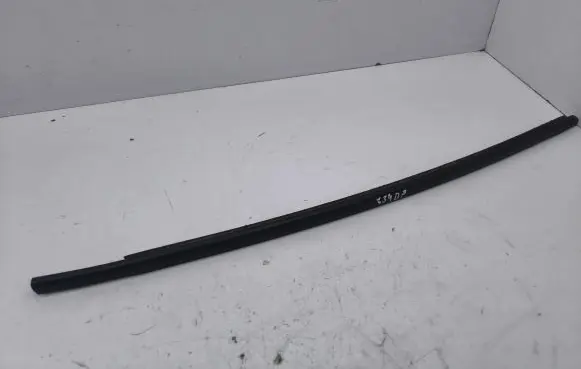 Renault Zoe Front door glass trim molding