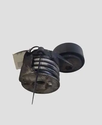 Opel Antara Generator/alternator belt tensioner 96440419