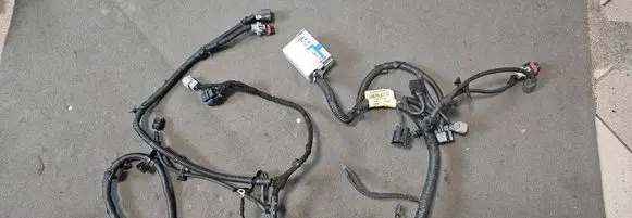 Chevrolet Aveo Wiring harness 95992182 FWD