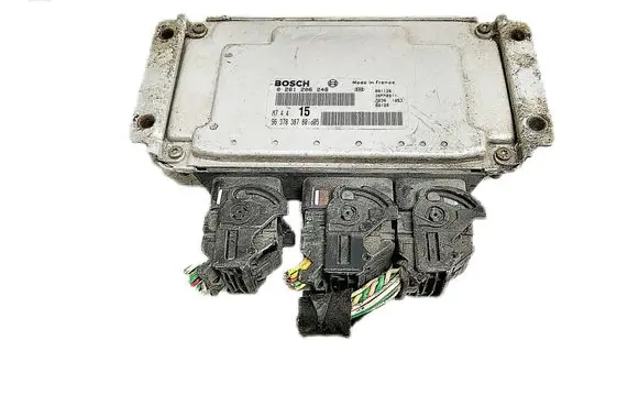 Volkswagen PASSAT B5.5 Engine control unit/module 0261206246