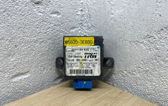 KIA Sorento Power steering control unit/module 956003E600 0580085017087 246103