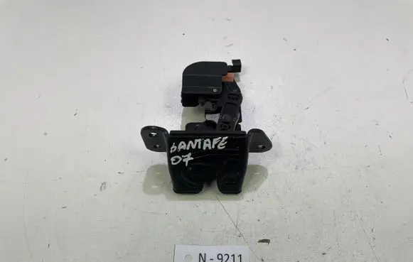 Hyundai Santa Fe Loading door lock 812302B000